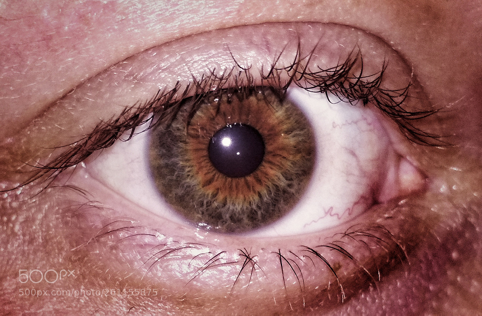 Xiaomi Redmi 4X sample photo. Untitled photography