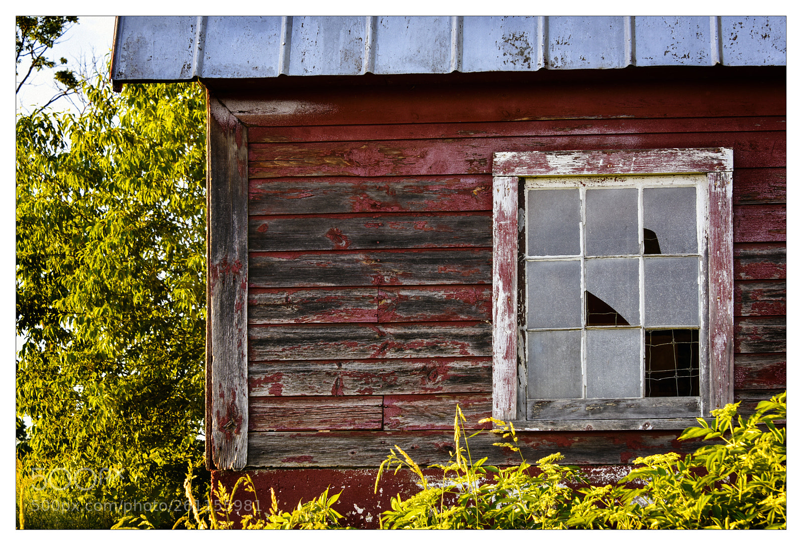 Nikon D810 sample photo. R photography