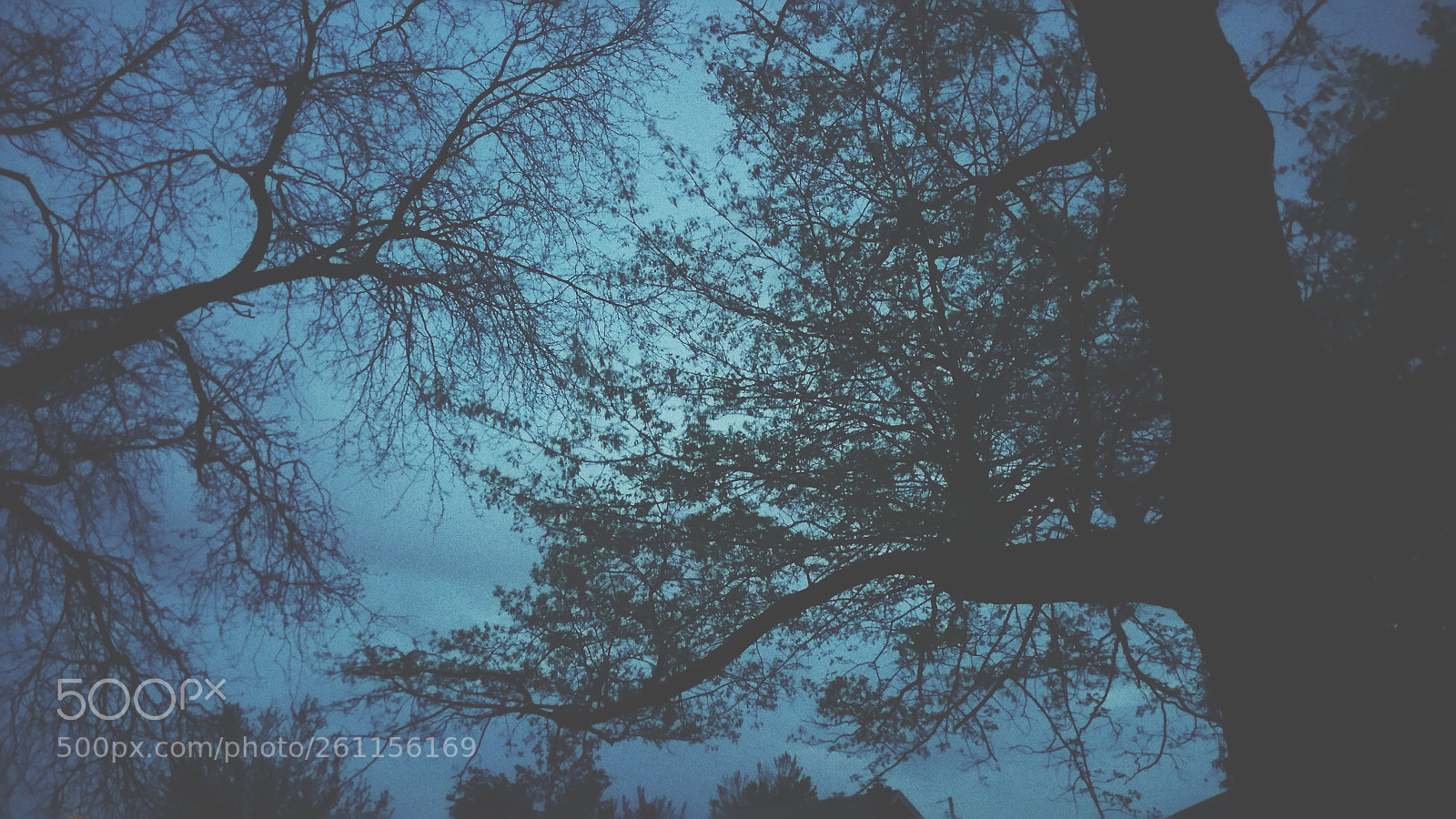 Samsung Galaxy Note4 sample photo. Ancient photography