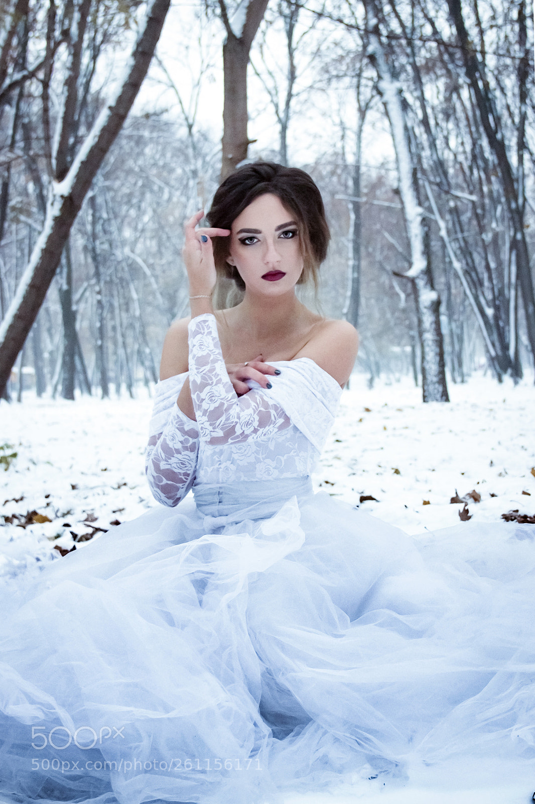 Canon EOS 600D (Rebel EOS T3i / EOS Kiss X5) sample photo. The snow queen photography