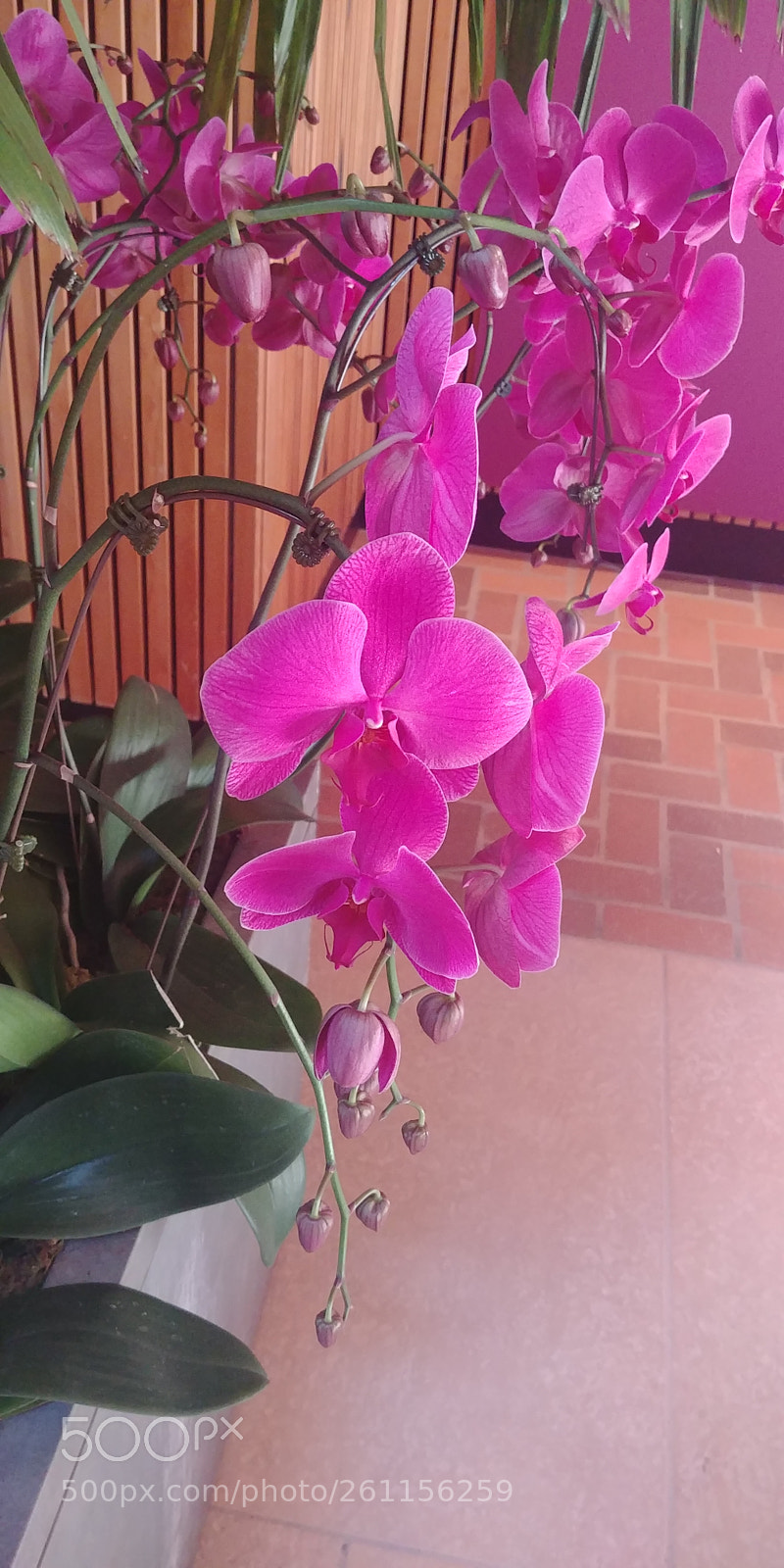 LG G6 sample photo. Untitled photography
