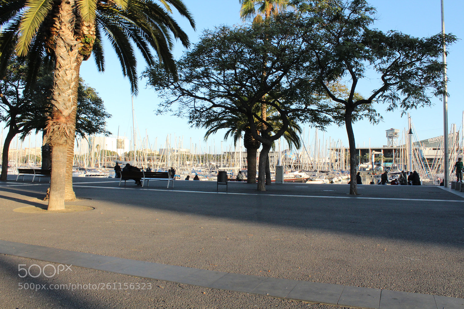 Canon EOS 1300D (EOS Rebel T6 / EOS Kiss X80) sample photo. One barceloneimg photography