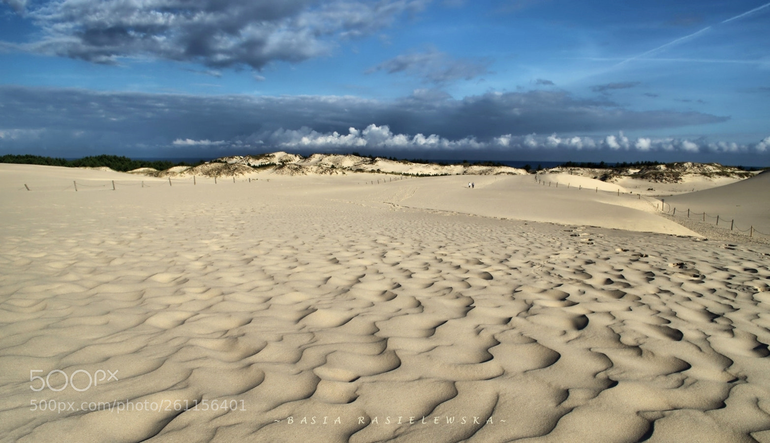 Nikon D5100 sample photo. The dune in Łeba... photography
