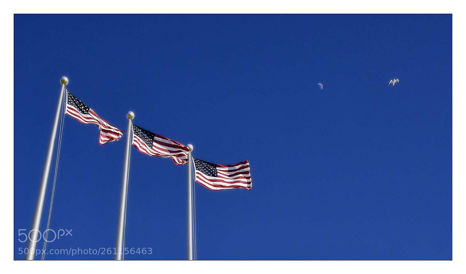 Nikon D810 sample photo. R photography