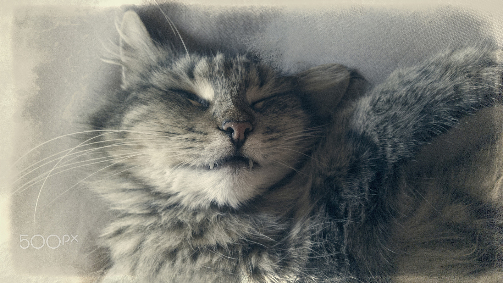 Nokia Lumia 1520 sample photo. Sweet dream photography