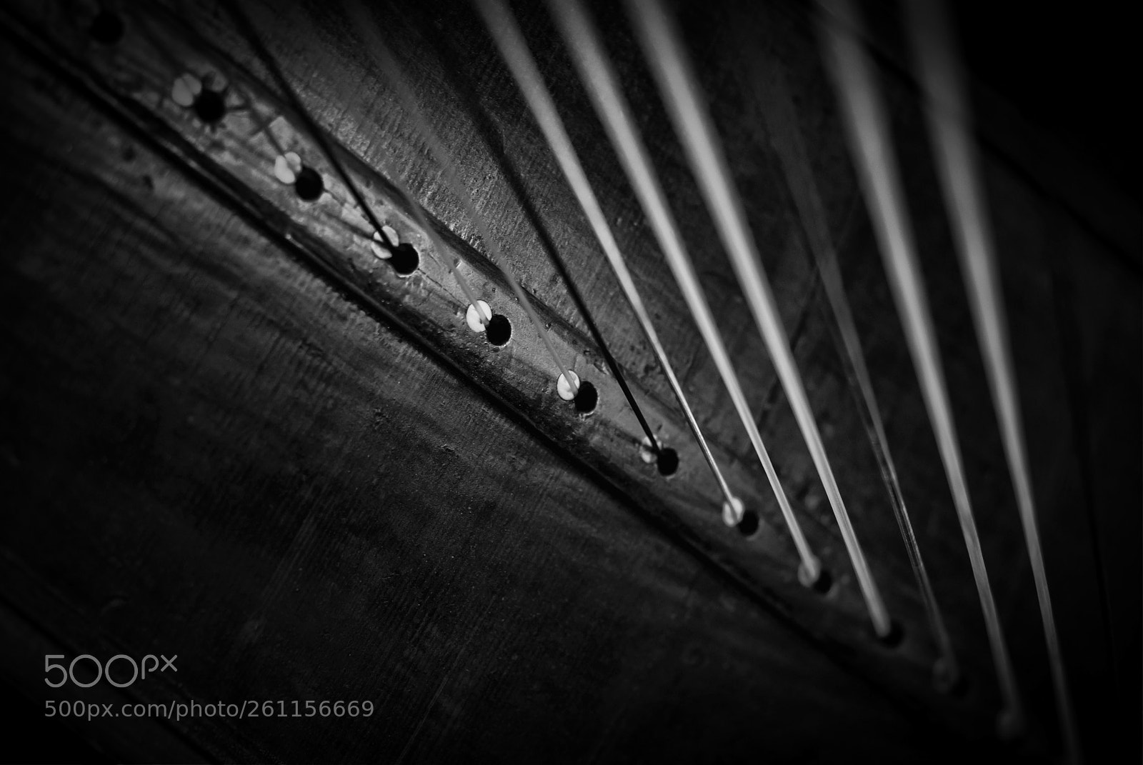 Sony Alpha DSLR-A100 sample photo. Harp photography
