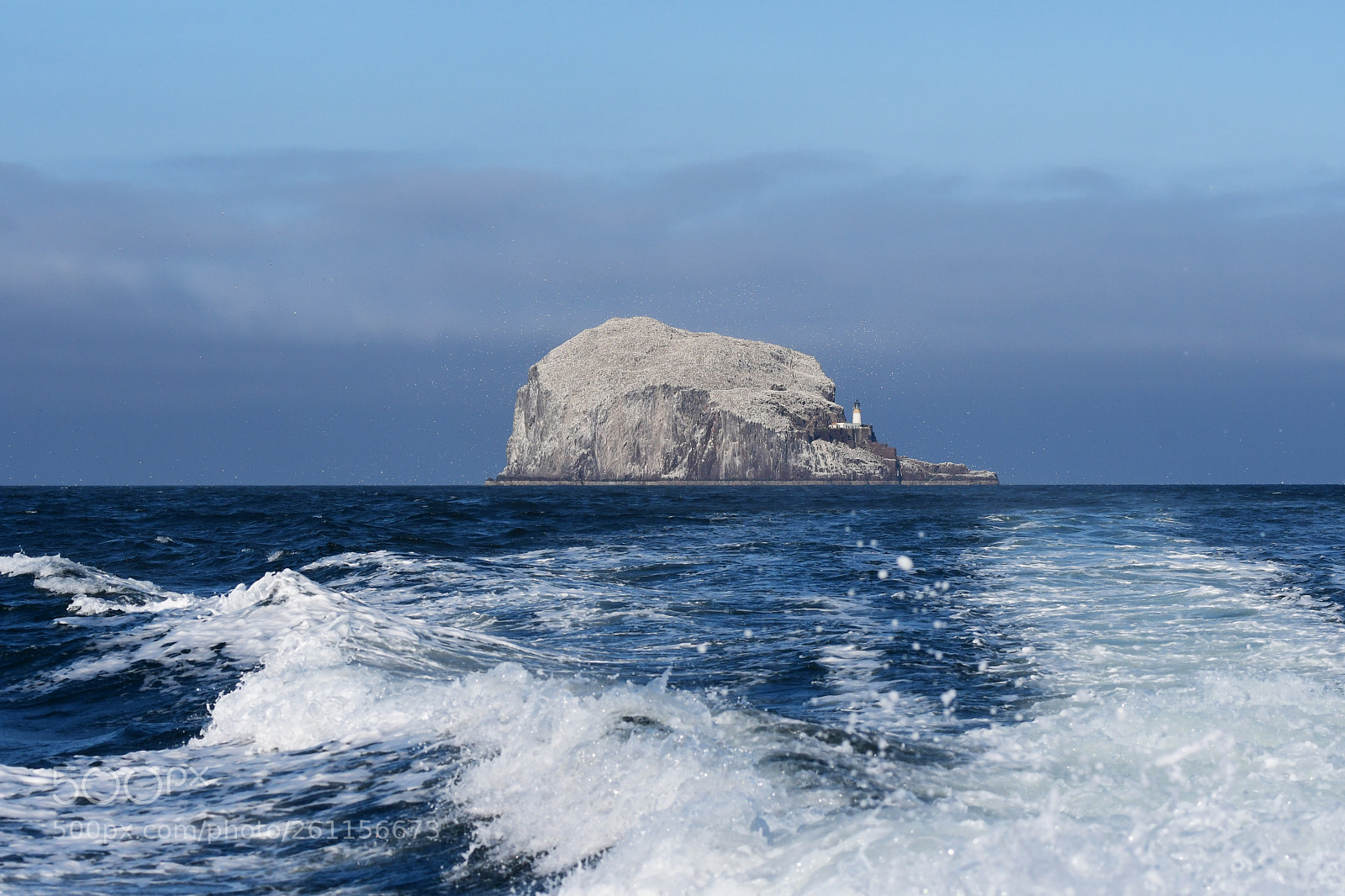 Nikon D500 sample photo. The bass rock photography
