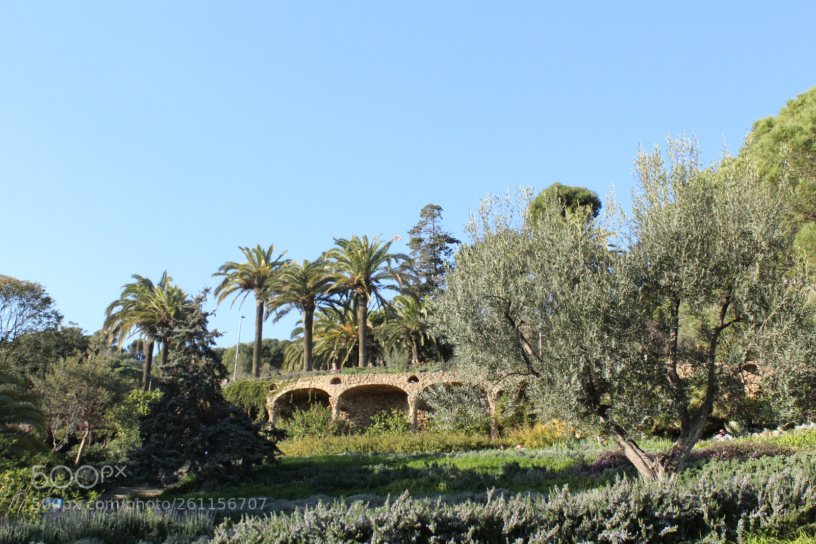 Canon EOS 1300D (EOS Rebel T6 / EOS Kiss X80) sample photo. One barceloneimg photography