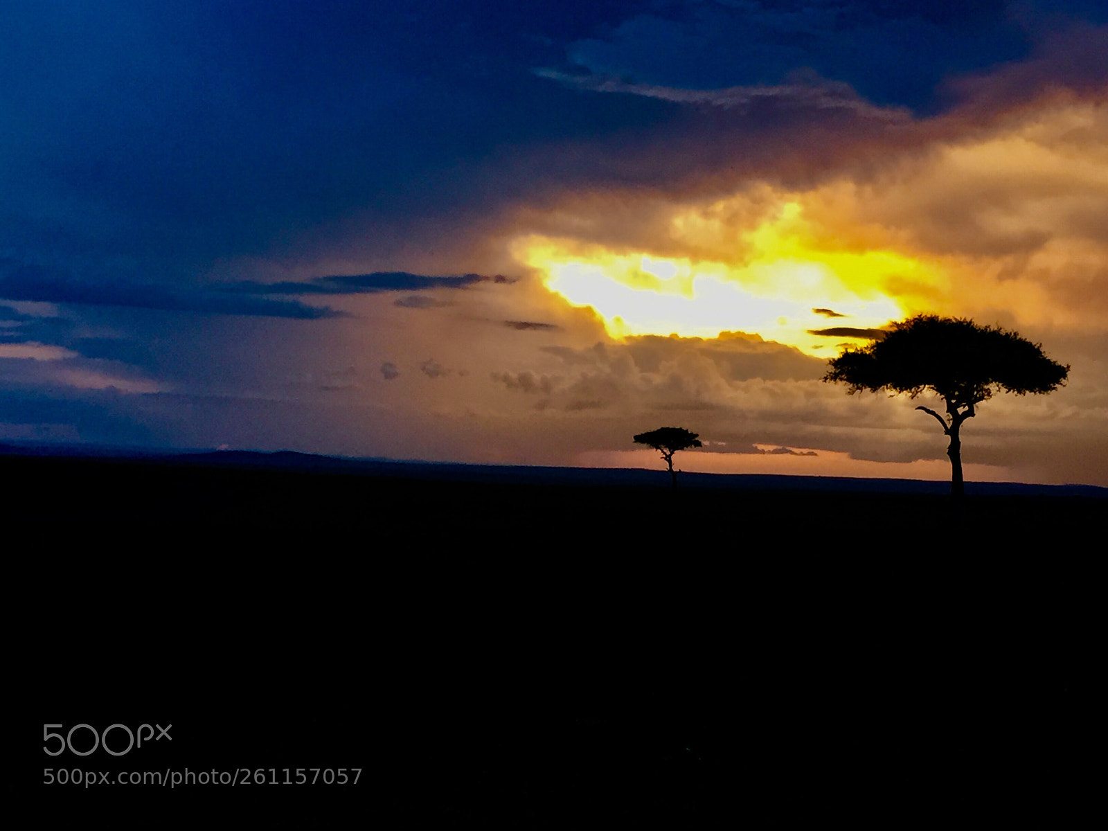 Apple iPhone 6 sample photo. A maasai mara sunset photography