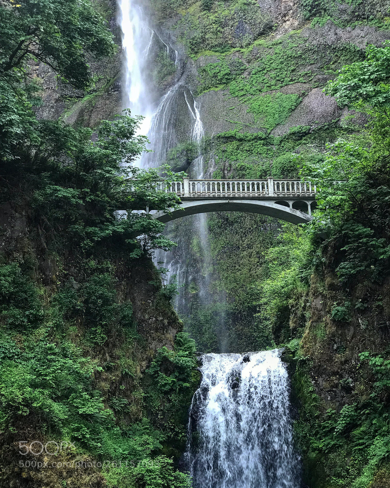 Apple iPhone 7 Plus sample photo. Multnomah falls photography