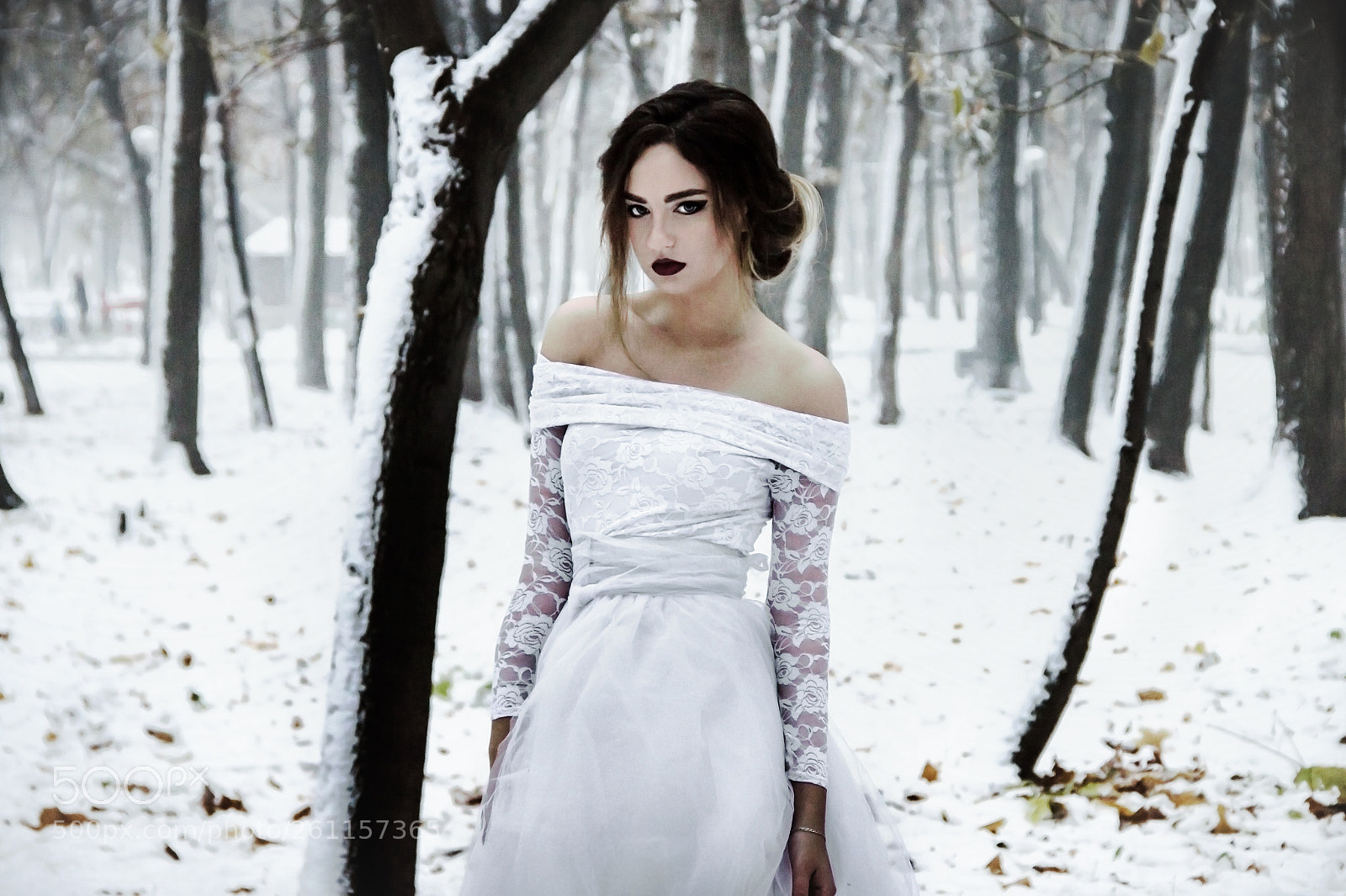Canon EOS 600D (Rebel EOS T3i / EOS Kiss X5) sample photo. The snow queen photography