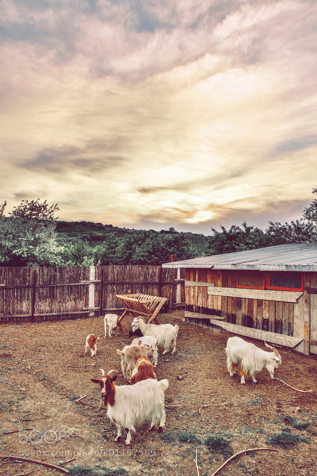 Nikon D5300 sample photo. Life on the farm photography