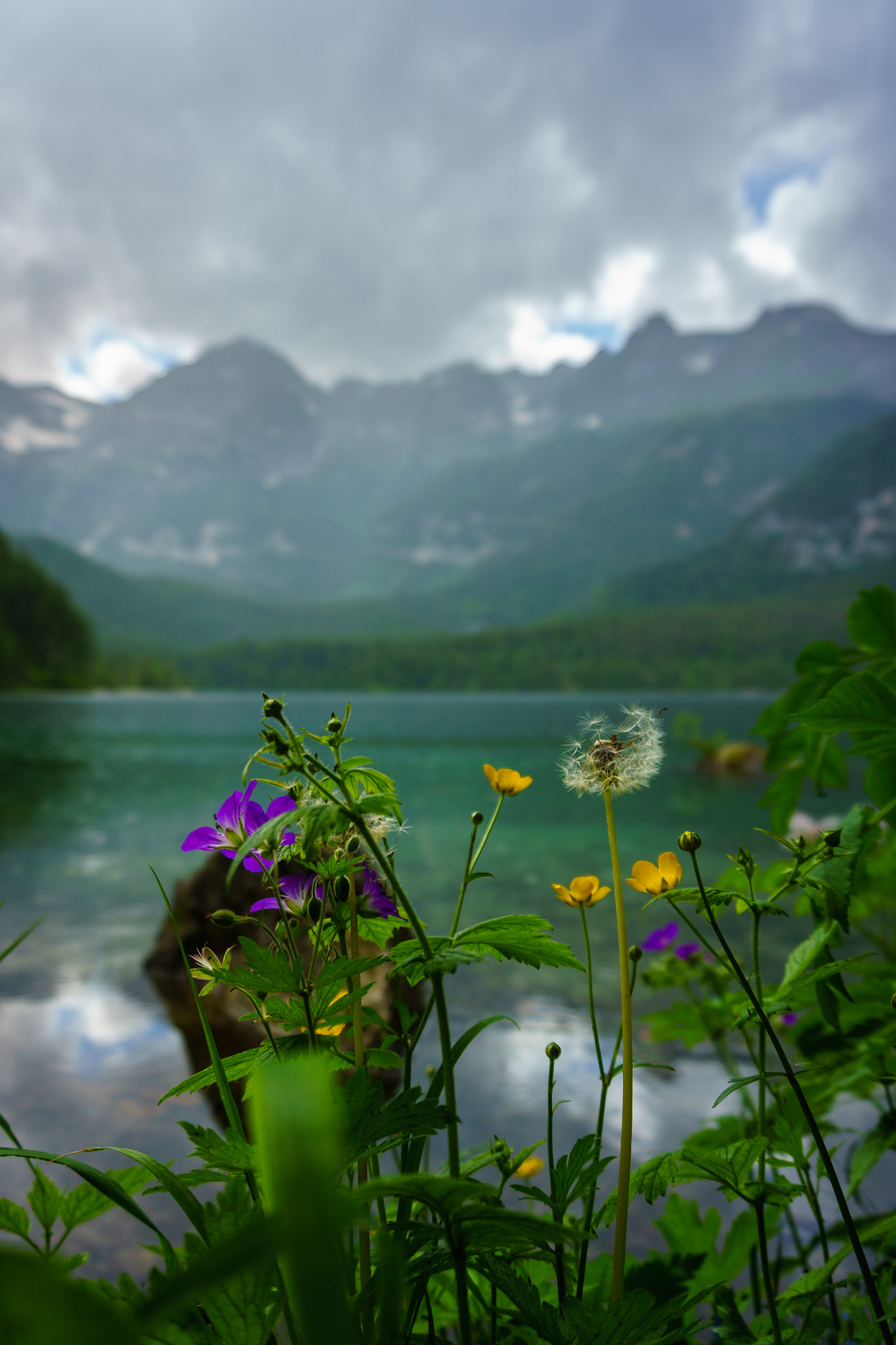 Sony a5100 sample photo. Rainy day at tovel lake photography
