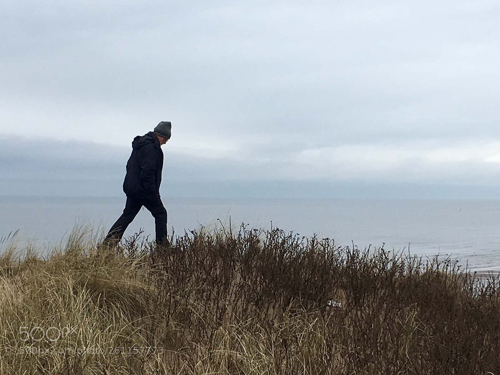 Apple iPhone SE sample photo. Alone on the dunes photography