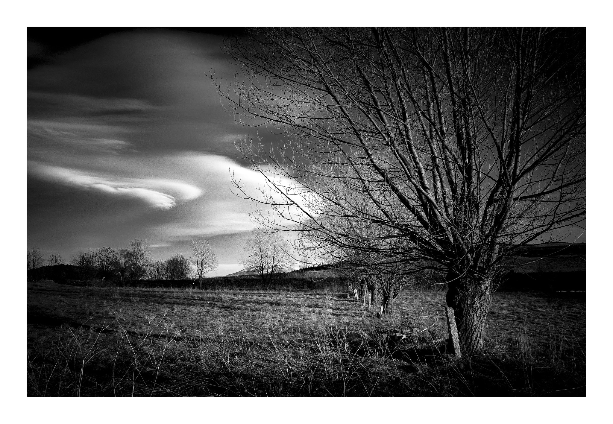 Ricoh GR sample photo. Meadows & clouds ii photography