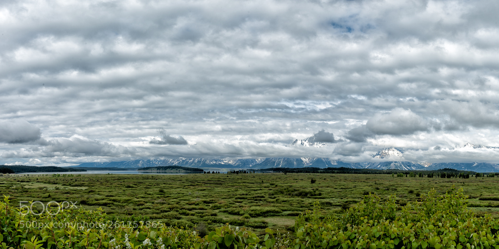Nikon D800 sample photo. Grand teton panoramic photography