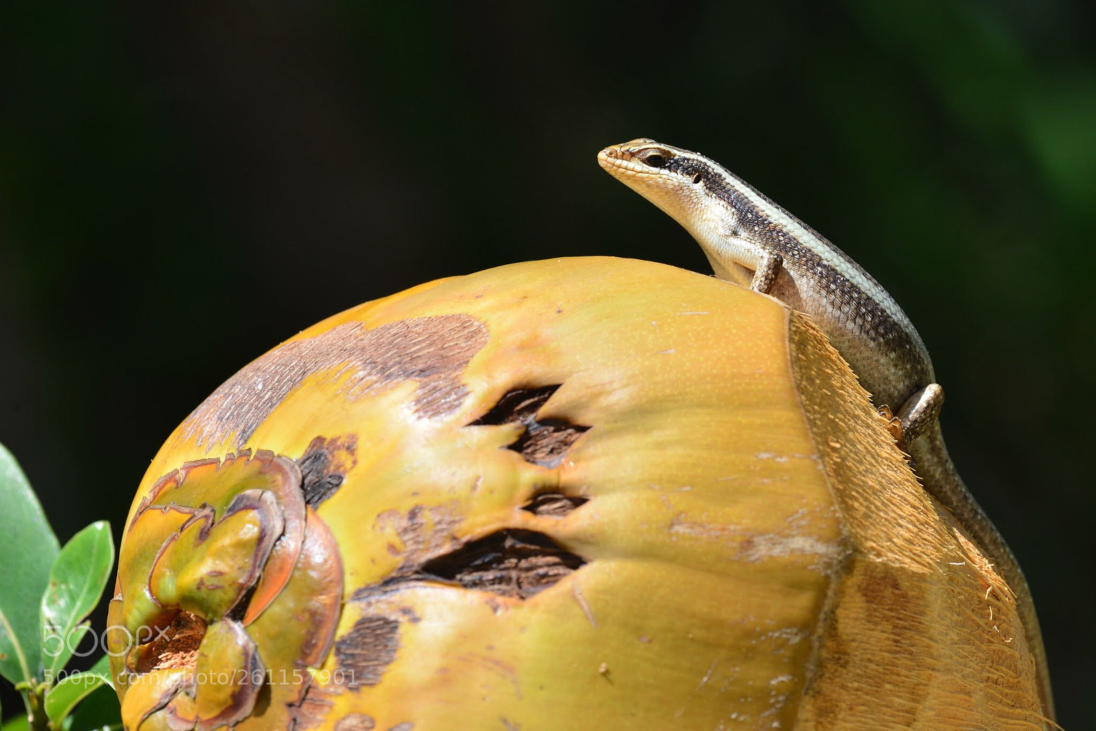 Nikon D800 sample photo. Untitled photography
