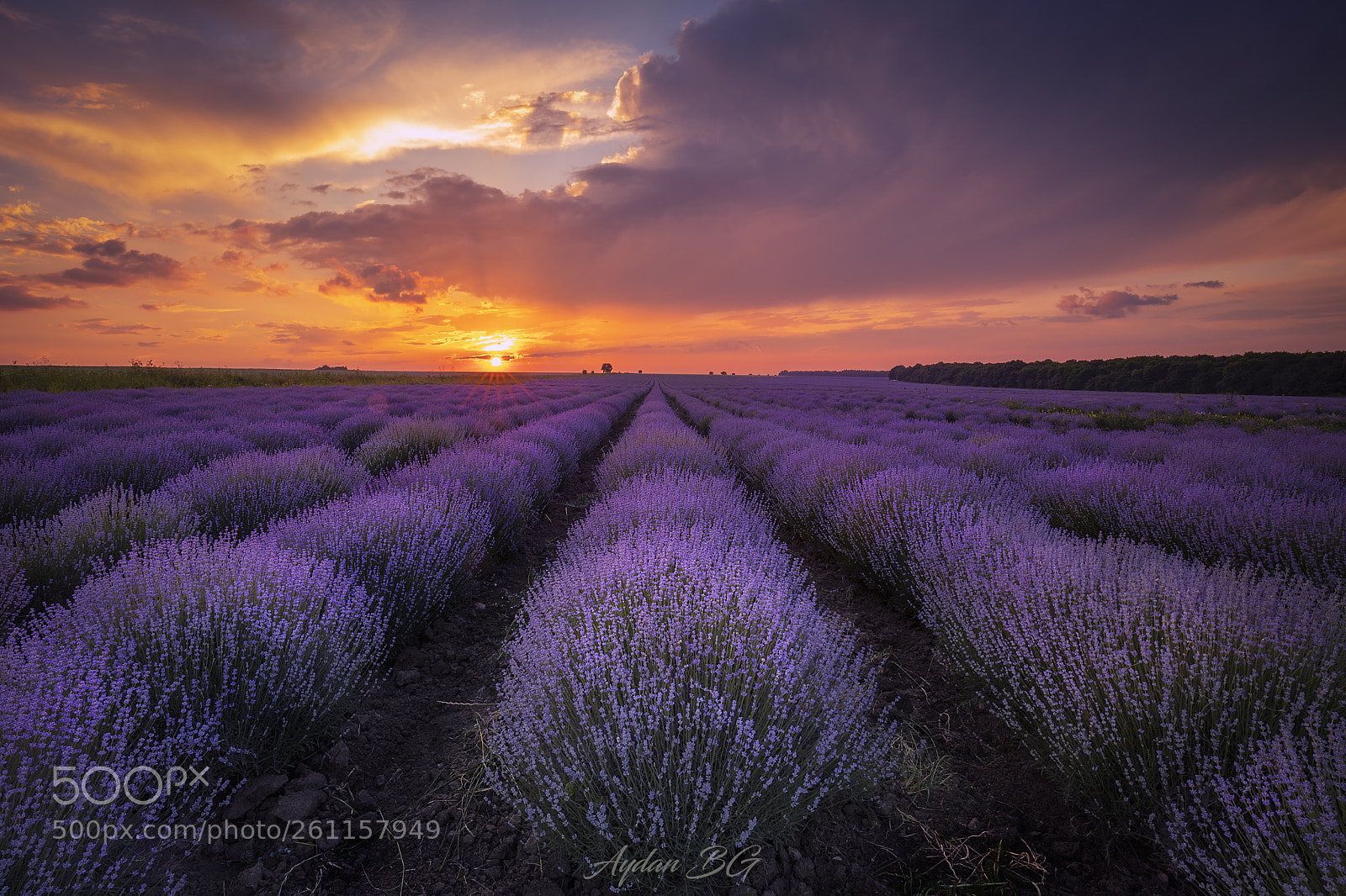 Canon EOS 5D Mark IV sample photo. Sunset photography