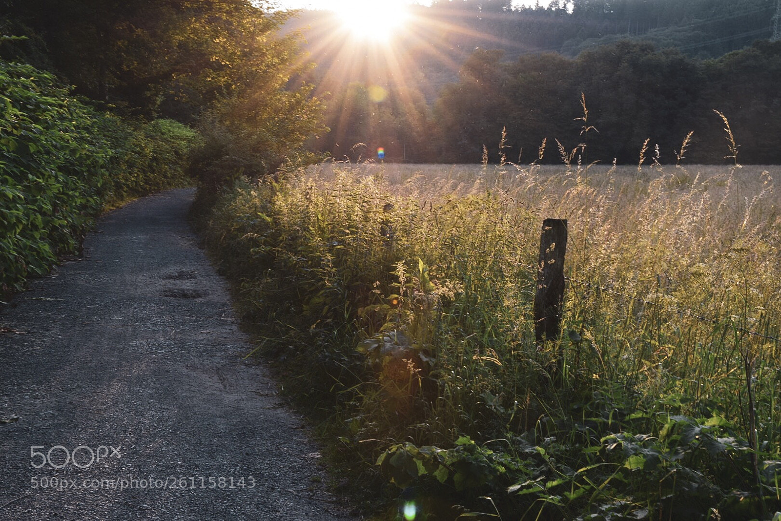 Nikon D5300 sample photo. Summer evening photography