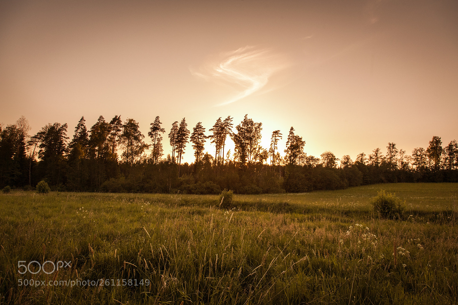 Canon EOS 5D sample photo. S sky photography
