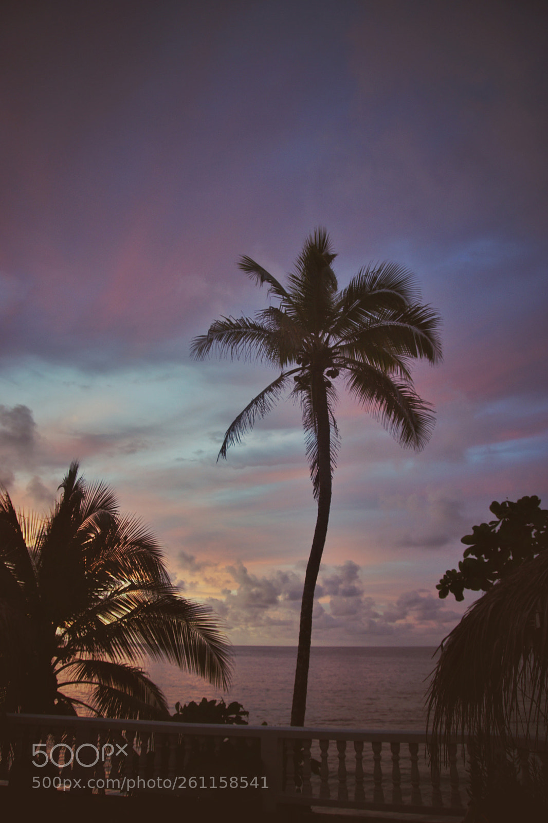 Sony SLT-A77 sample photo. Sunset photography