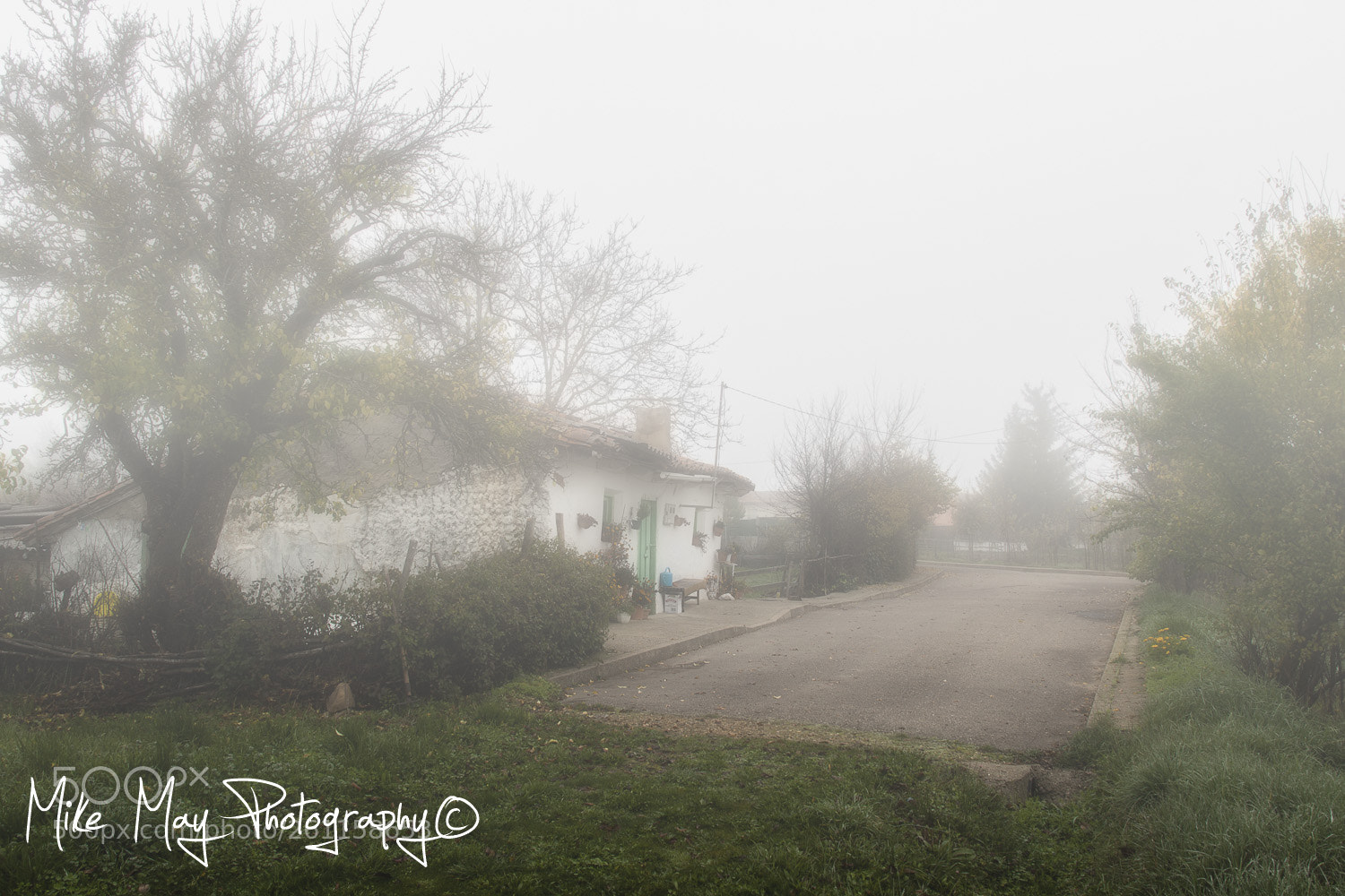 Canon EOS 50D sample photo. "niebla" photography