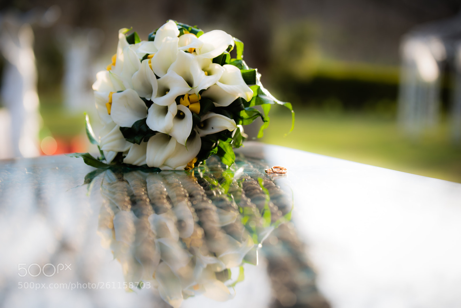 Nikon D800 sample photo. Bouquet & rings photography