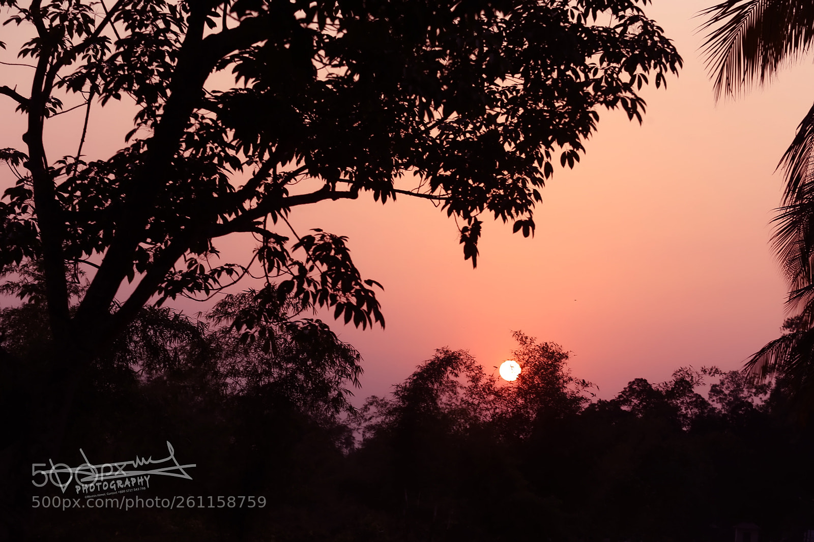 Canon EOS 6D sample photo. Sunlight photography