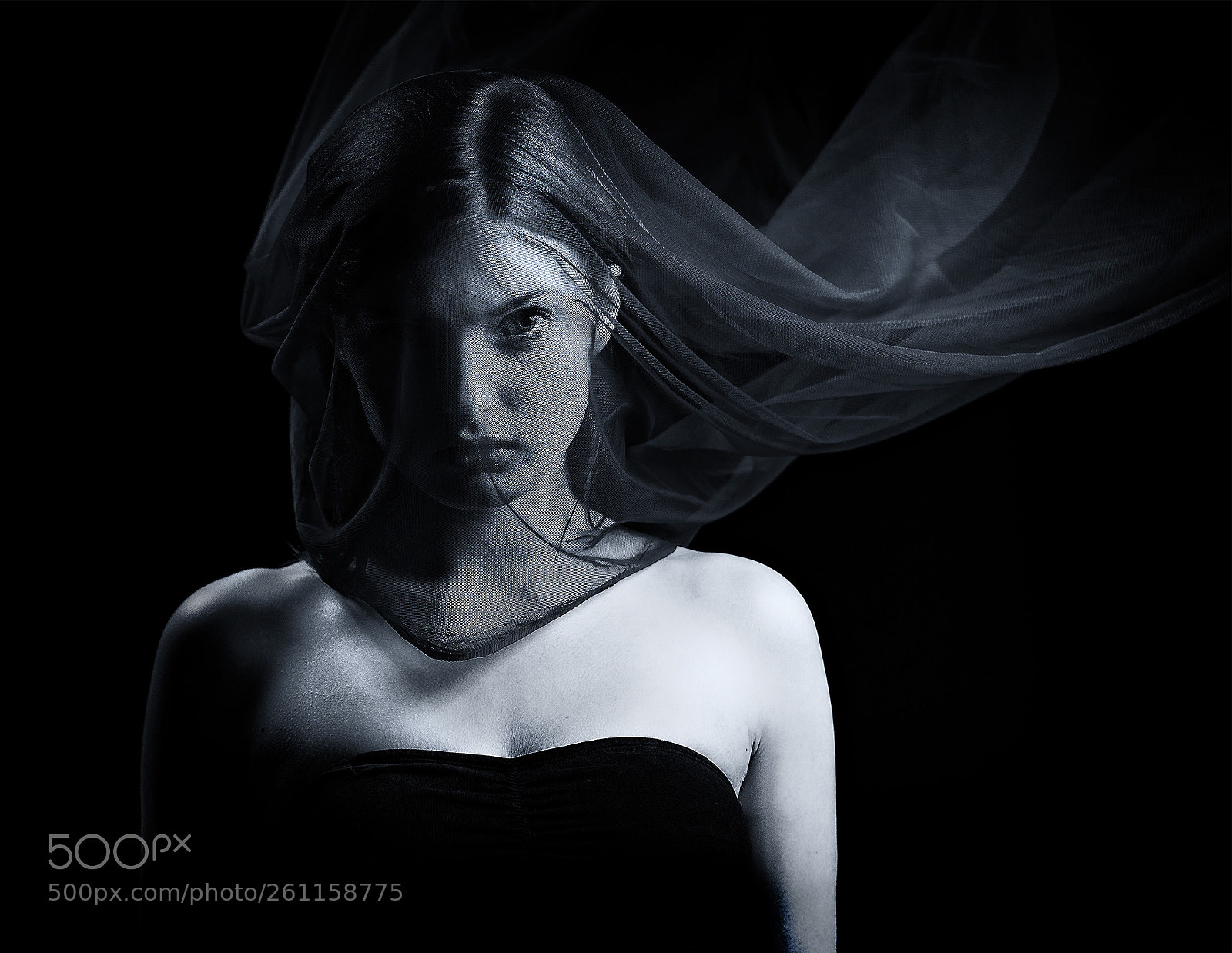 Canon EOS 5D Mark IV sample photo. Bw photography