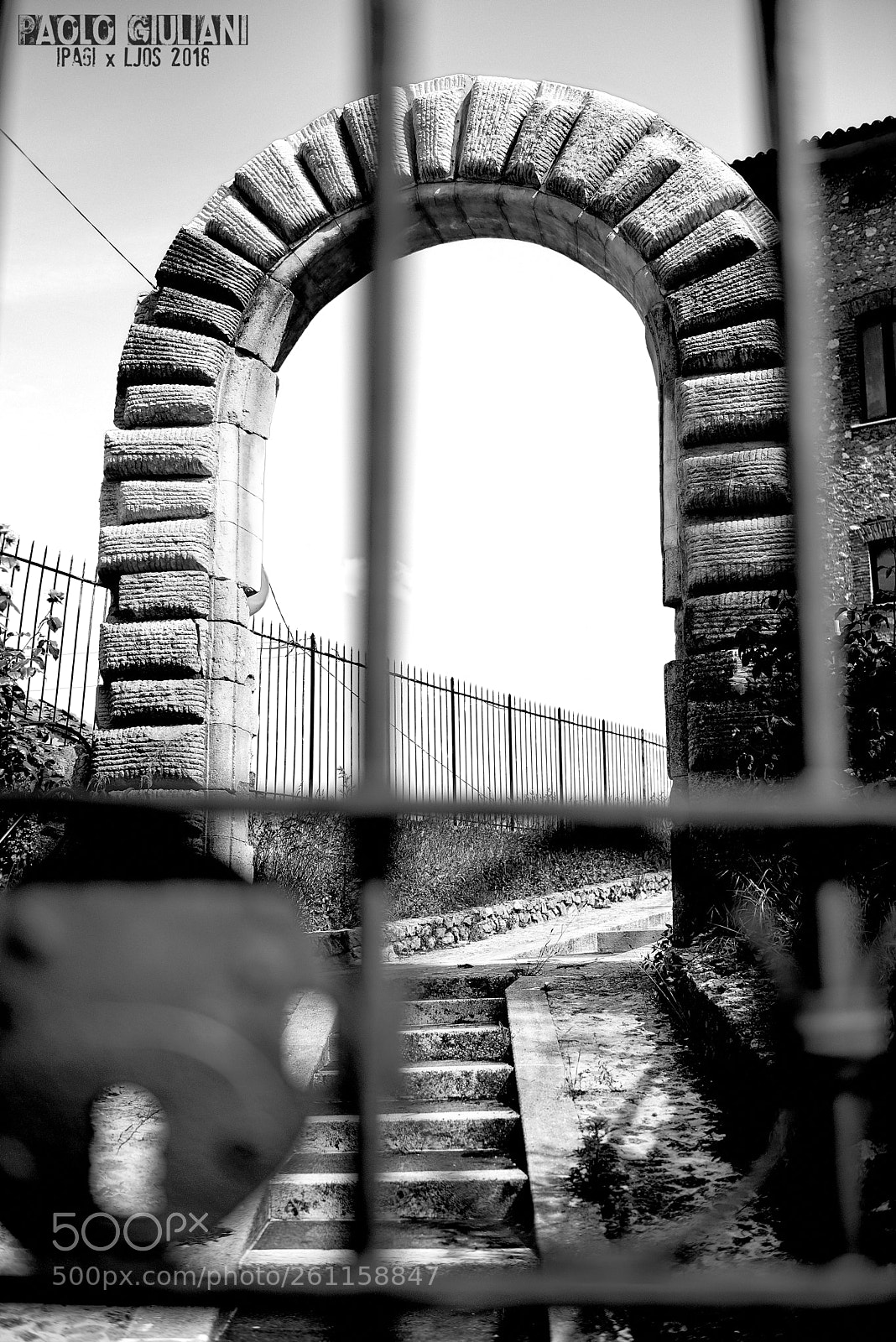 Nikon D750 sample photo. Vivaro romano - arco photography