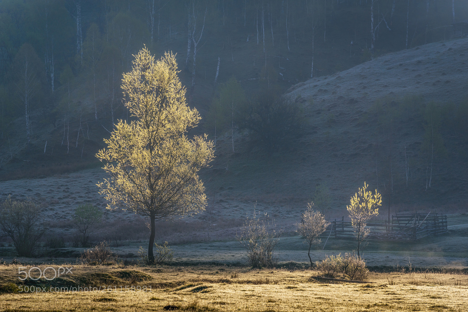 Nikon D800 sample photo. Fundatura ponorului photography