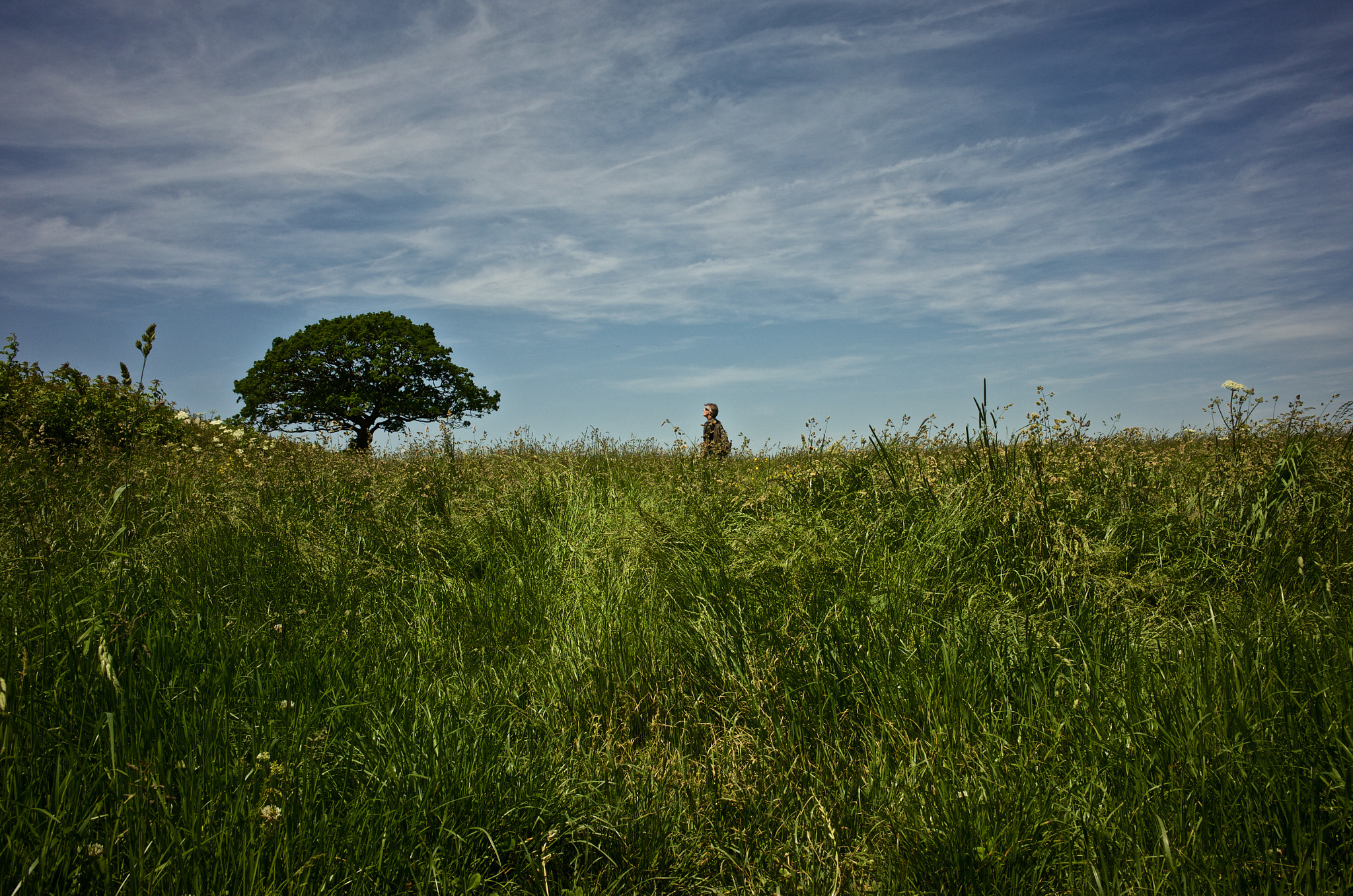 Nikon Coolpix A sample photo. As tall as the grass photography