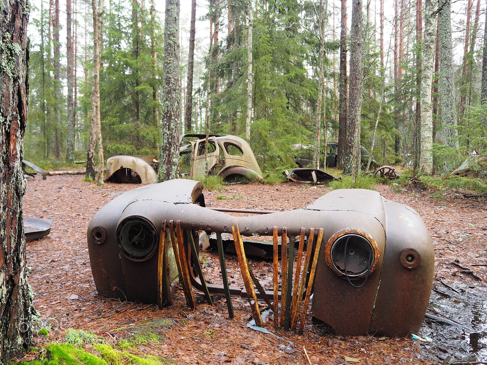 Olympus OM-D E-M10 II sample photo. Car cemetary photography