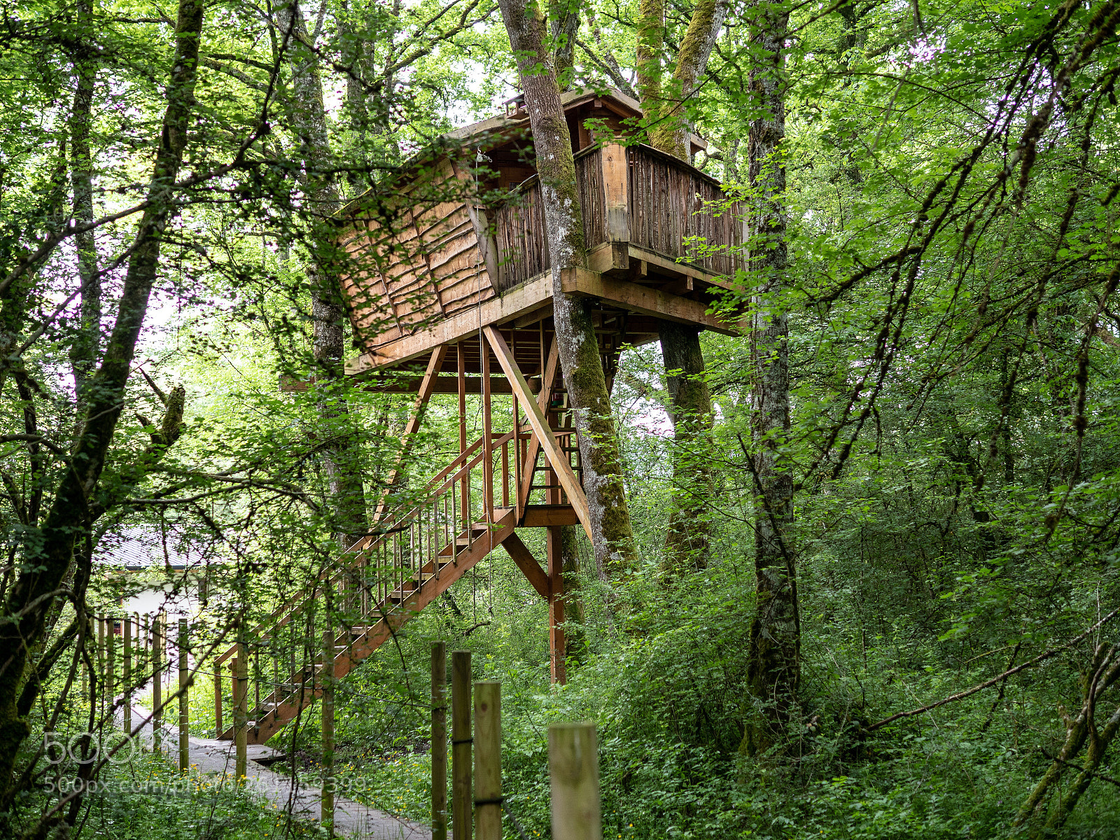 Panasonic Lumix DC-G9 sample photo. Tree house photography
