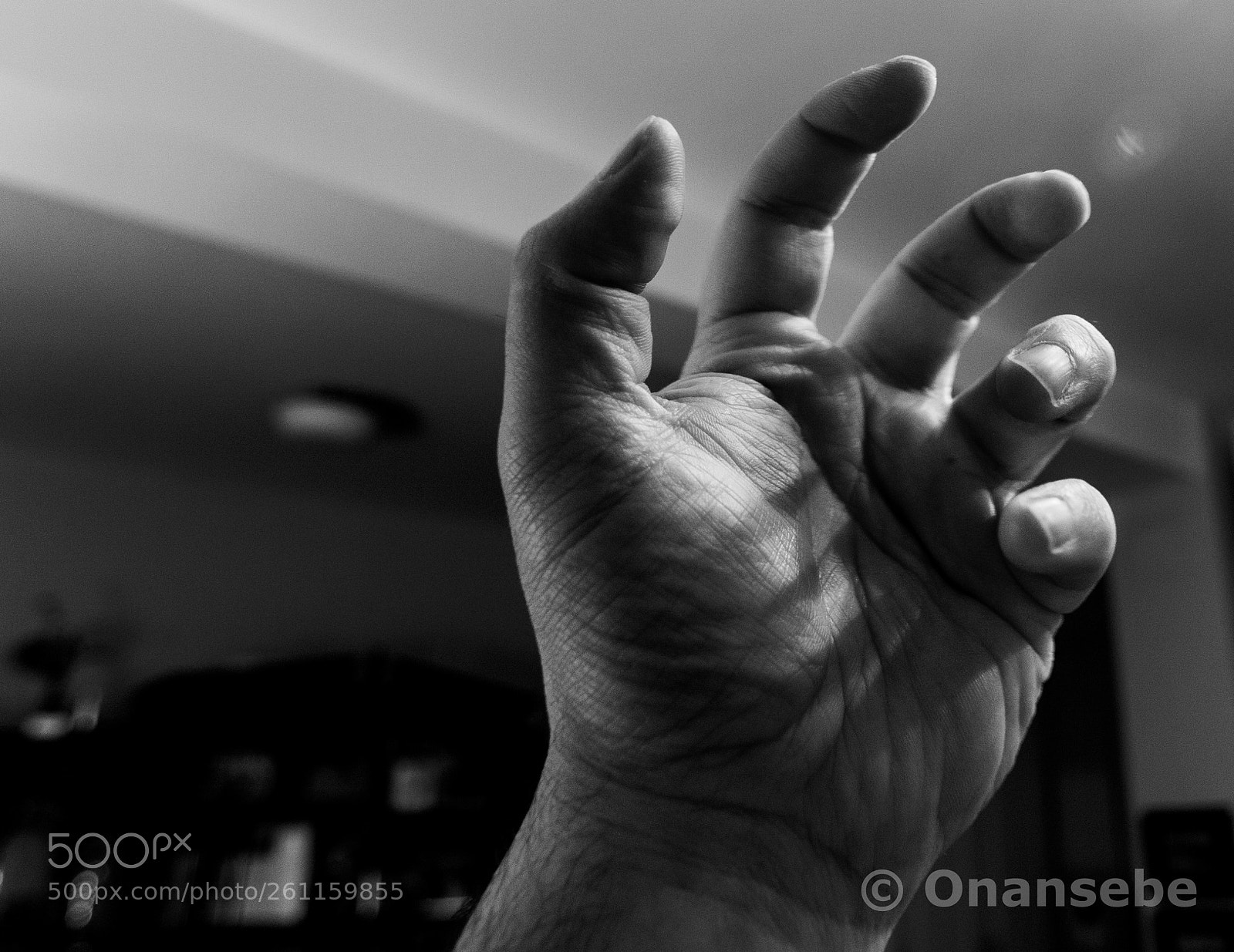 Nikon D5200 sample photo. Mano photography