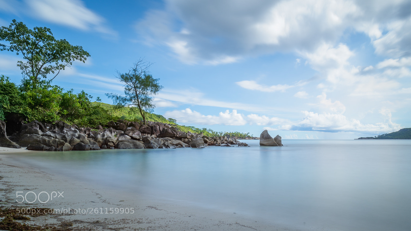 Nikon D810 sample photo. Pause for thought photography