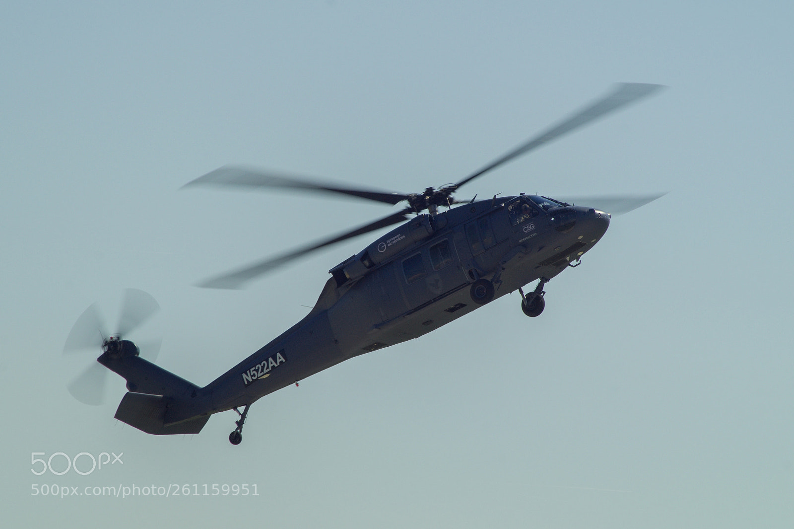 Sony SLT-A58 sample photo. Uh-60a n522aa photography