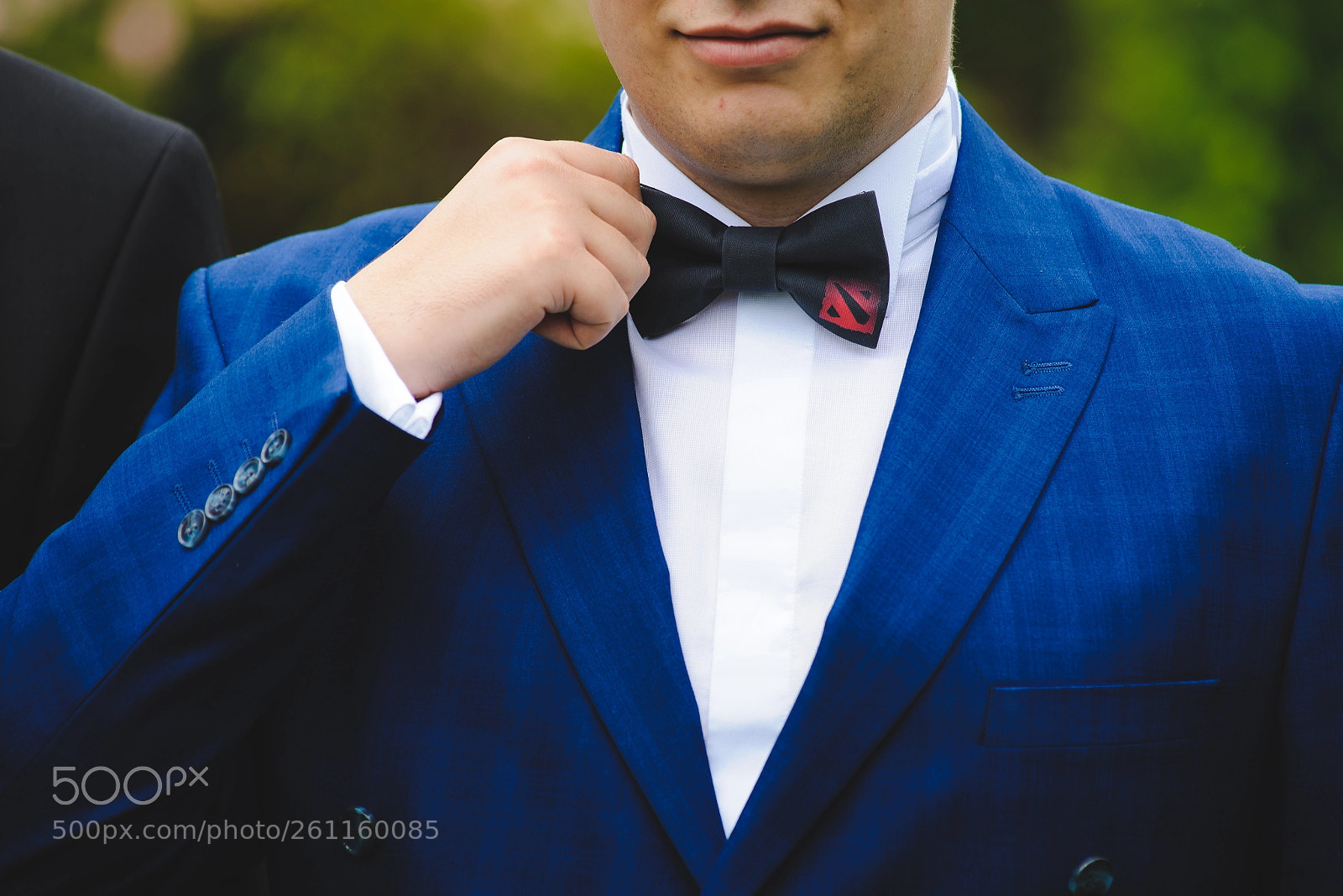 Nikon D750 sample photo. Special bow tie photography