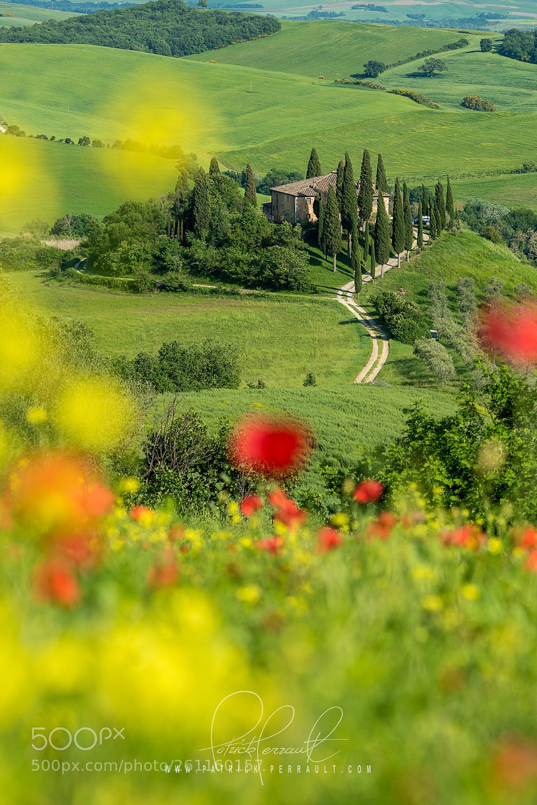 Nikon D810 sample photo. San quirico spring photography