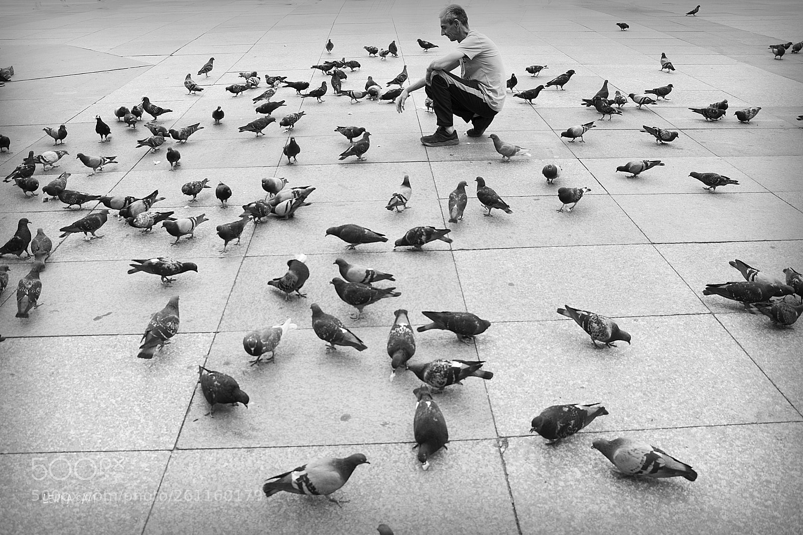 Canon EOS 80D sample photo. Pigeon whisperer photography