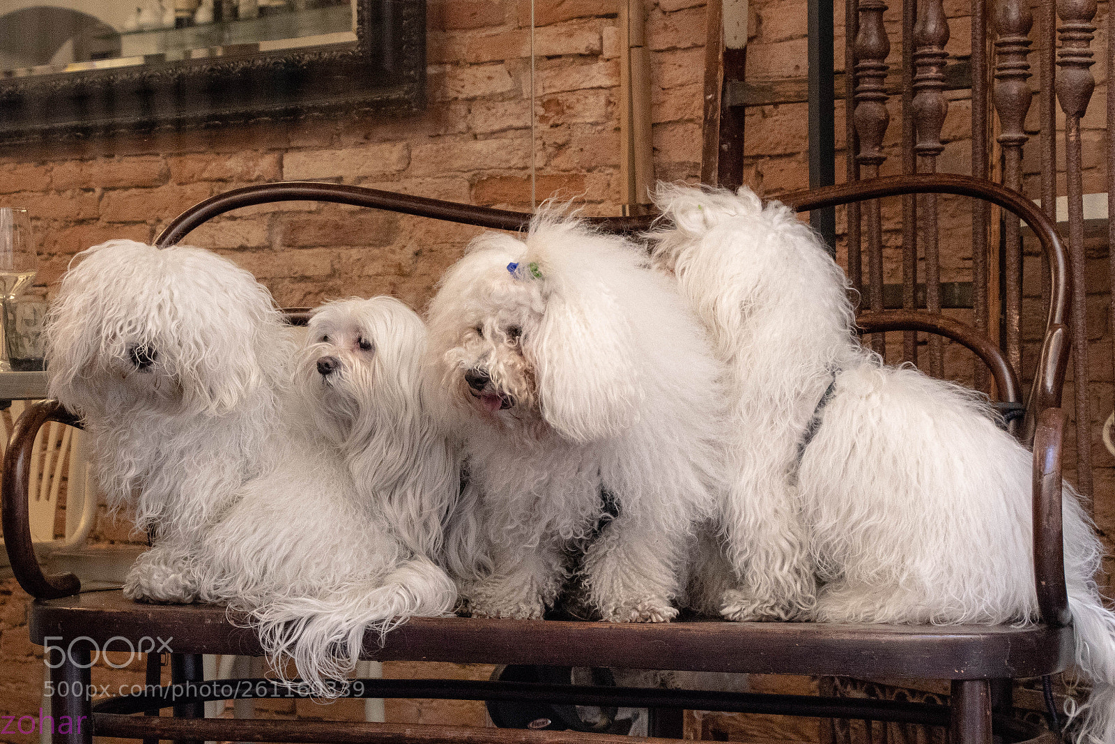 Canon EOS 80D sample photo. What a cozy bench photography