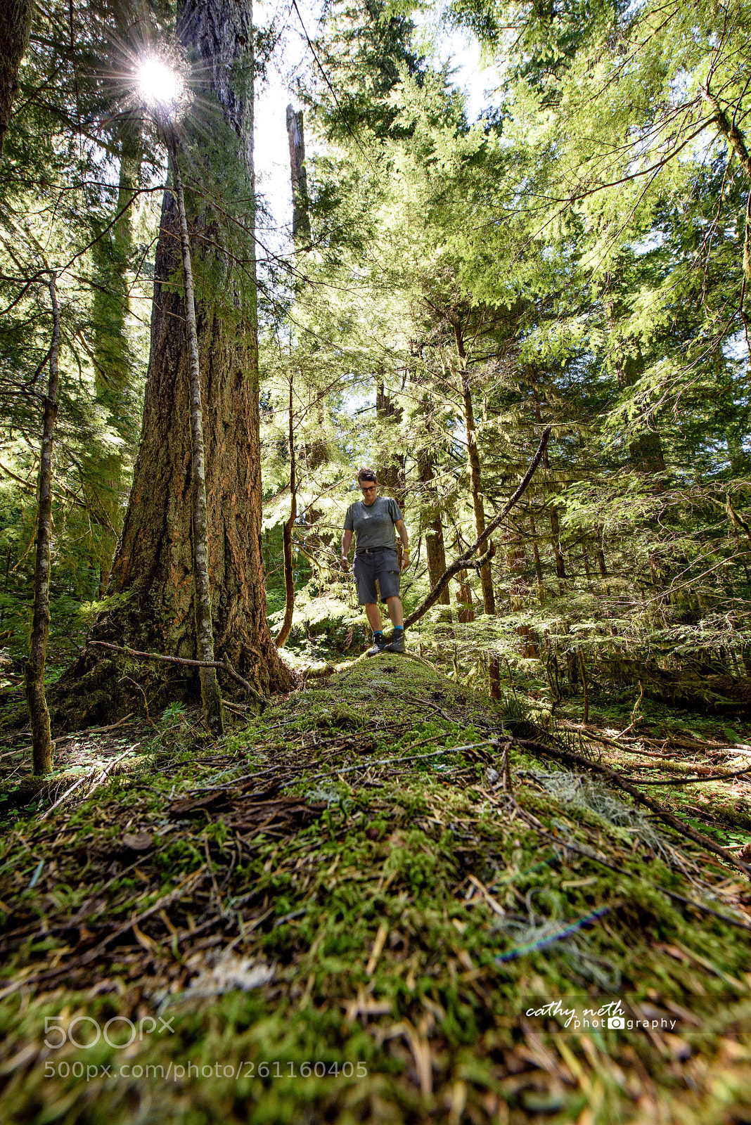 Nikon D810 sample photo. Escape. photography
