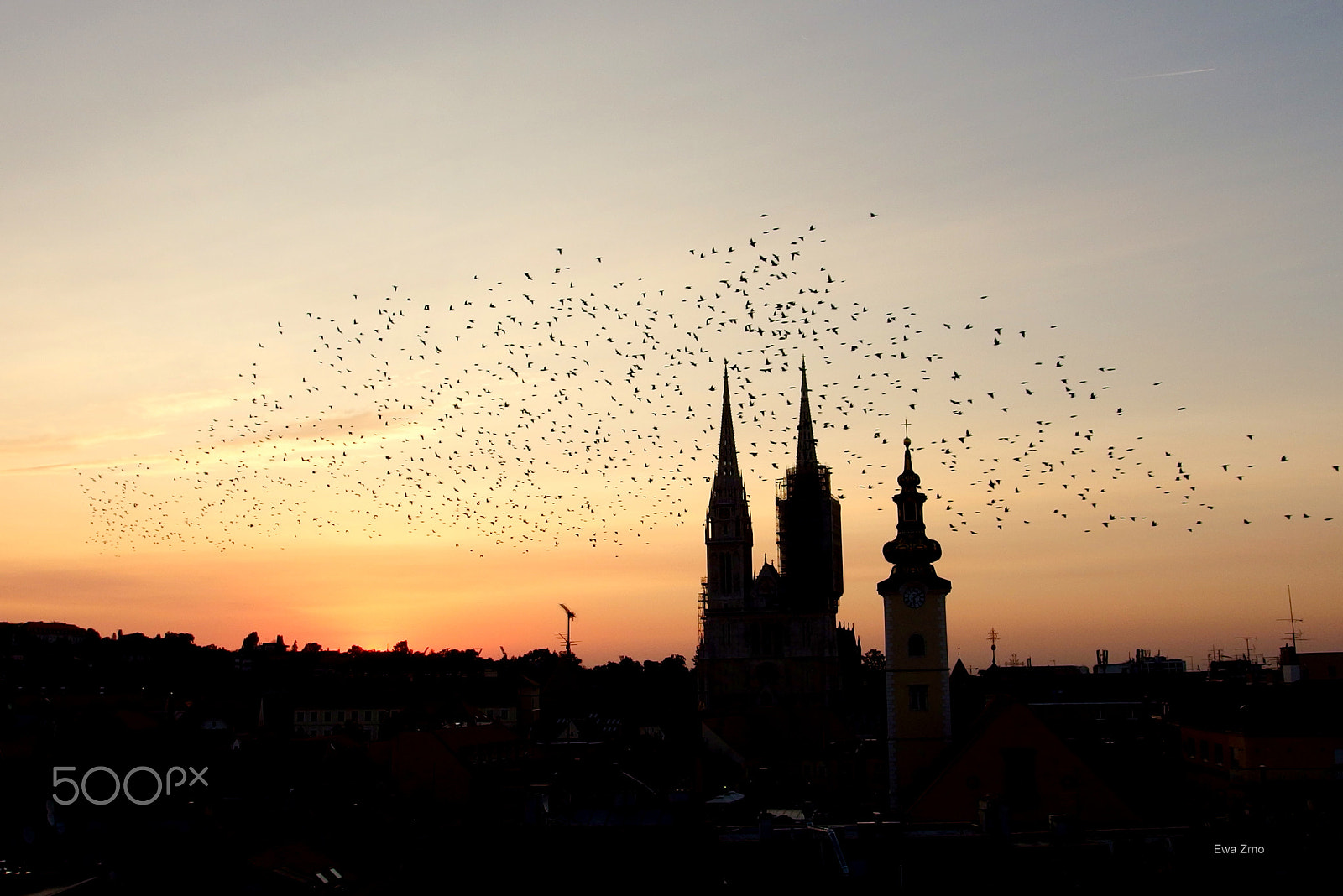 Olympus XZ-2 iHS sample photo. Awakening of the birds. photography