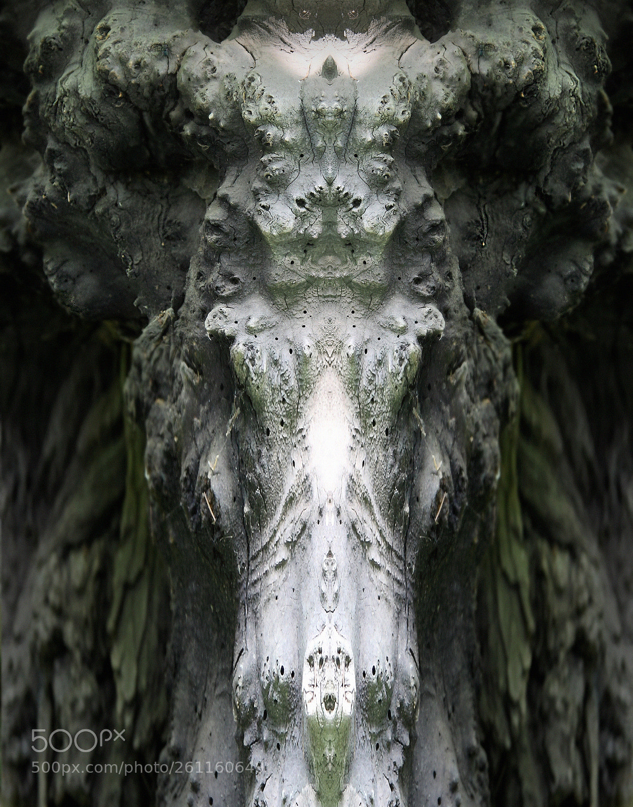 Canon EOS 5D Mark II sample photo. Mammoth-portrait of a tree photography