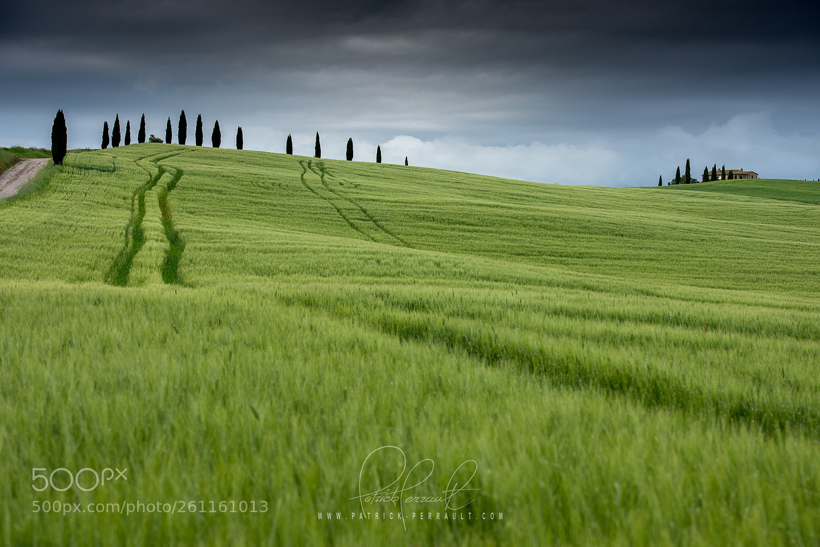 Nikon D810 sample photo. Italian field way photography