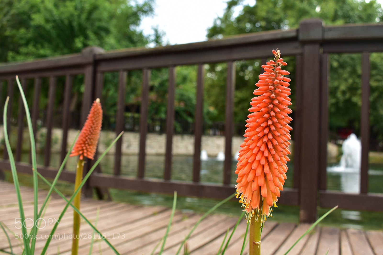 Nikon D3400 sample photo. 9 photography
