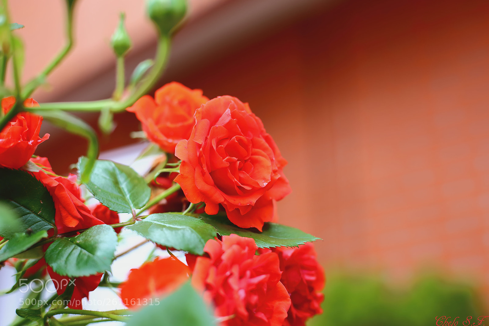 Canon EOS 6D sample photo. Untitled photography
