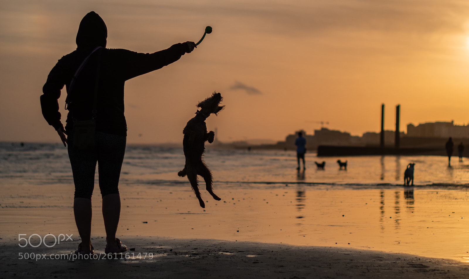 Fujifilm X-T2 sample photo. Sunset leap photography