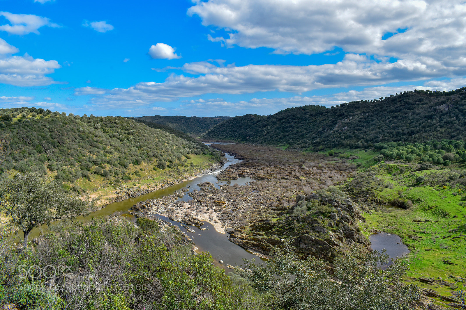 Nikon D5600 sample photo. The riverbed photography