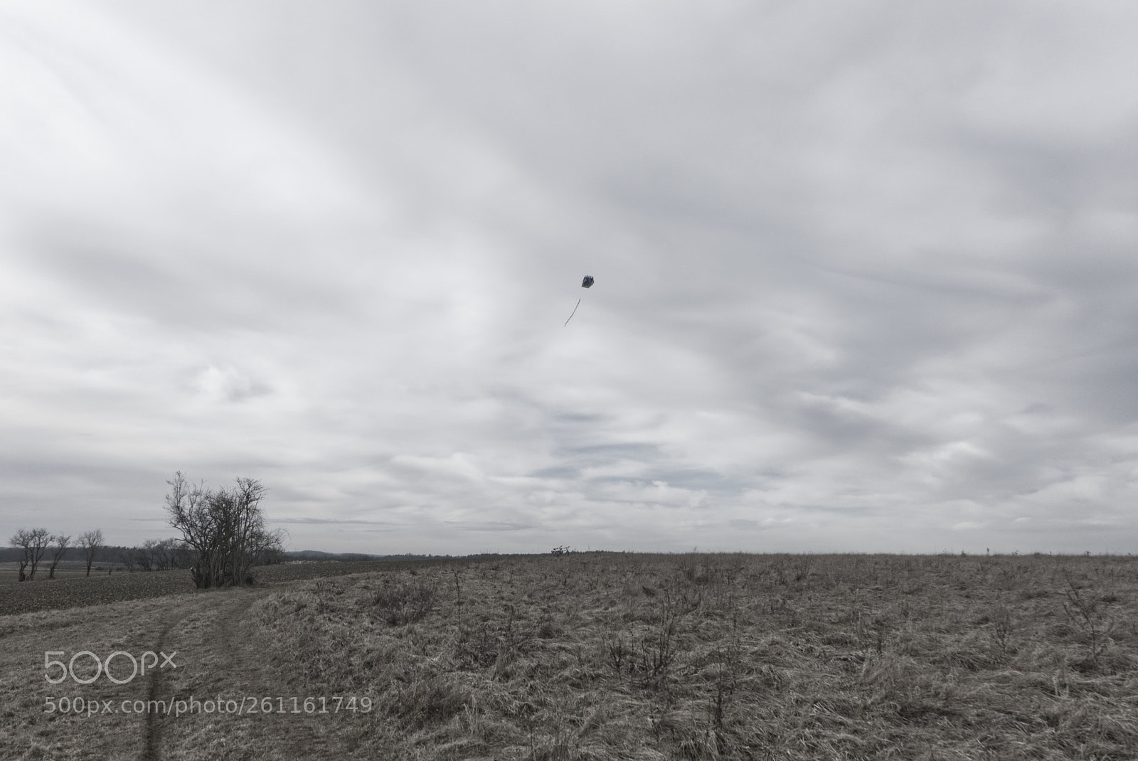 Fujifilm X-T20 sample photo. Drache auf winzer photography